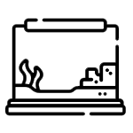 Aquariums