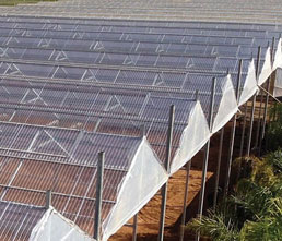 Greenhouses and Agricultural Structures